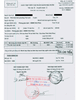 01 - Payment receipt (to State Budget)